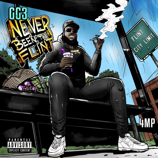 Never been to flint cover art