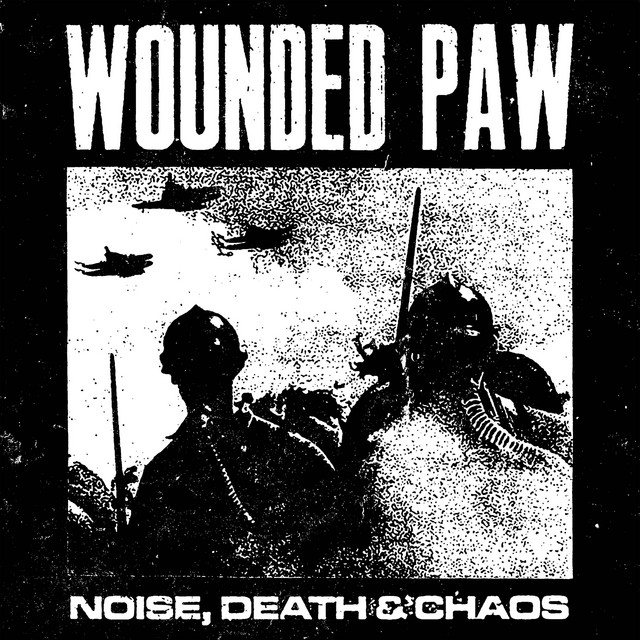 Noise, Death & Chaos cover art
