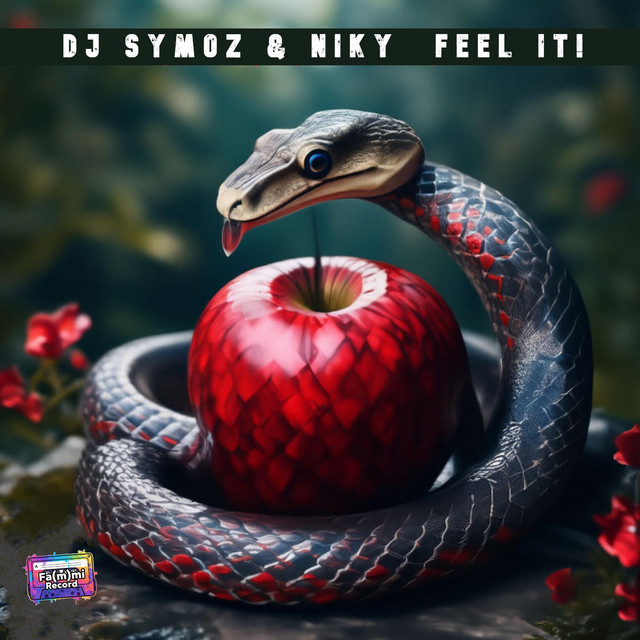 Feel It ! - Radio Mix cover art