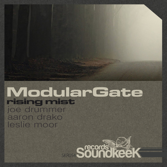 Rising Mist - Aaron Drako Remix - song and lyrics by Modular Gate ...