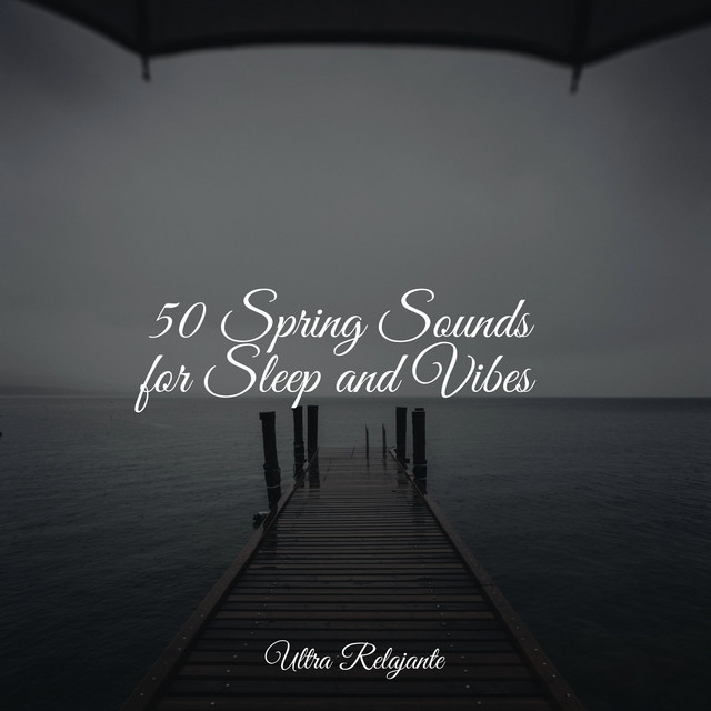 50 Spring Sounds for Sleep and Vibes - Album by Chakra Balancing Sound ...