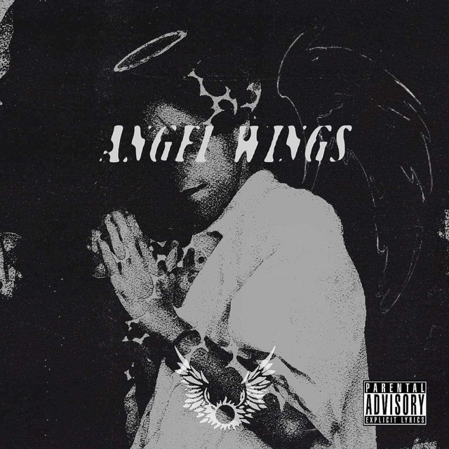 angel wings cover art