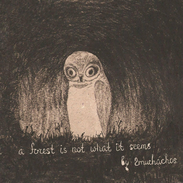 A Forest Is Not What It Seems cover art