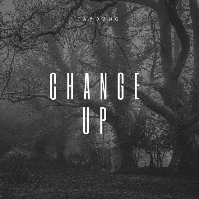 Change Up cover