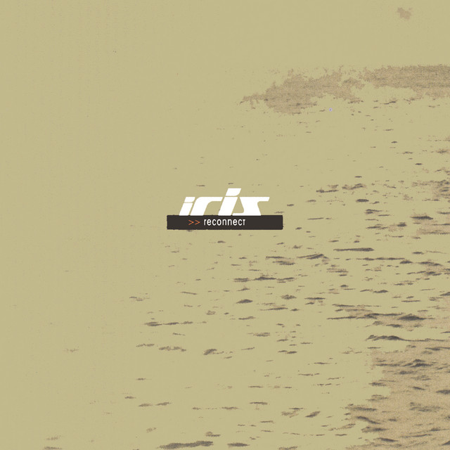 Reconnect cover art