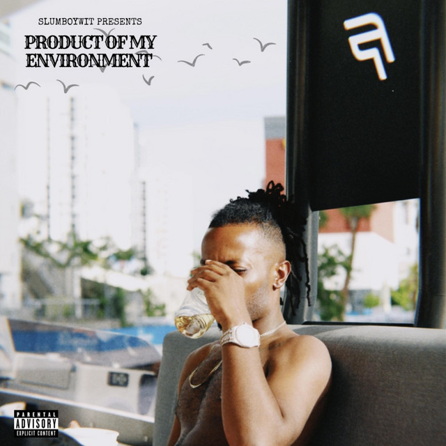 PRODUCT OF MY ENVIRONMENT cover art