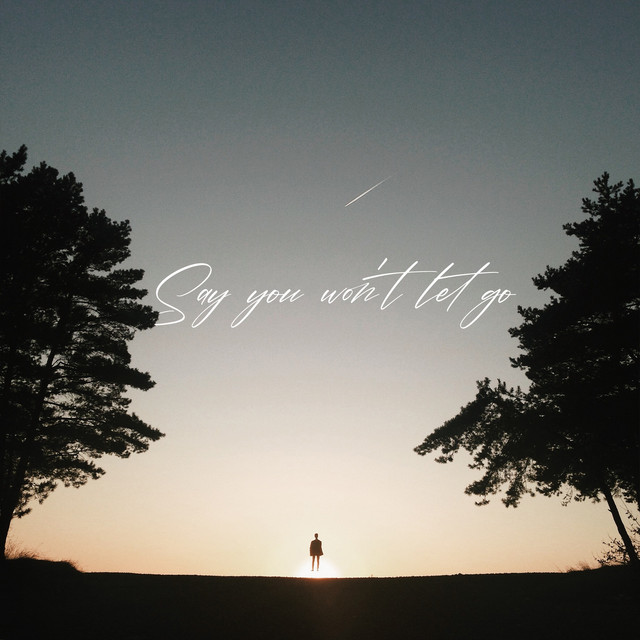 Cover art: Say You Won't Let Go — DEMCHUK