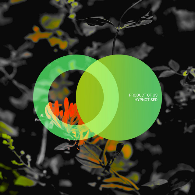 Hypnotised cover art