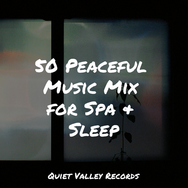 50 Peaceful Music Mix for Spa & Sleep - Album by Deep Sleep FX | Spotify