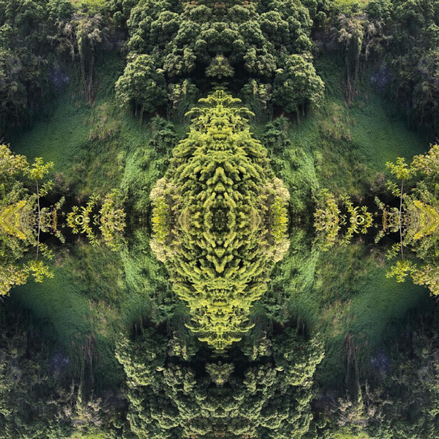 Tapped In cover art