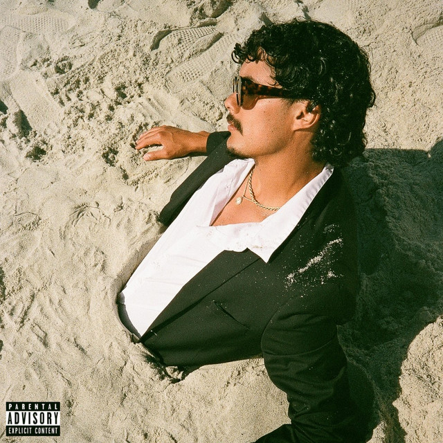 Beach Boy cover art