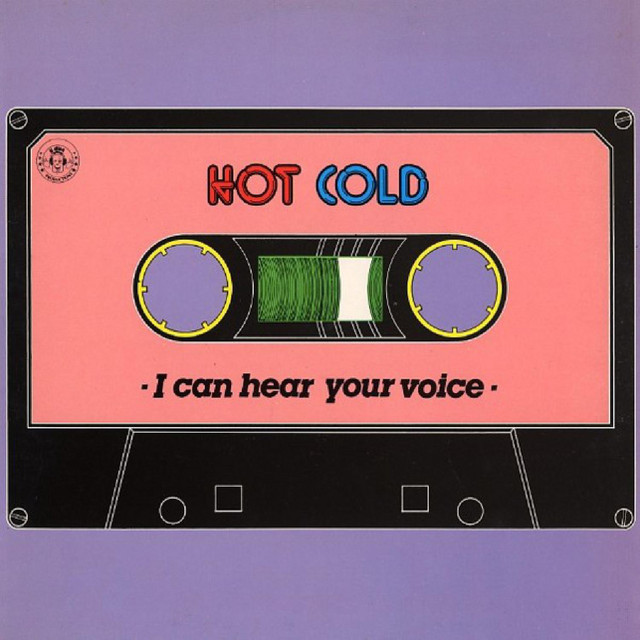 I Can Hear Your Voice cover