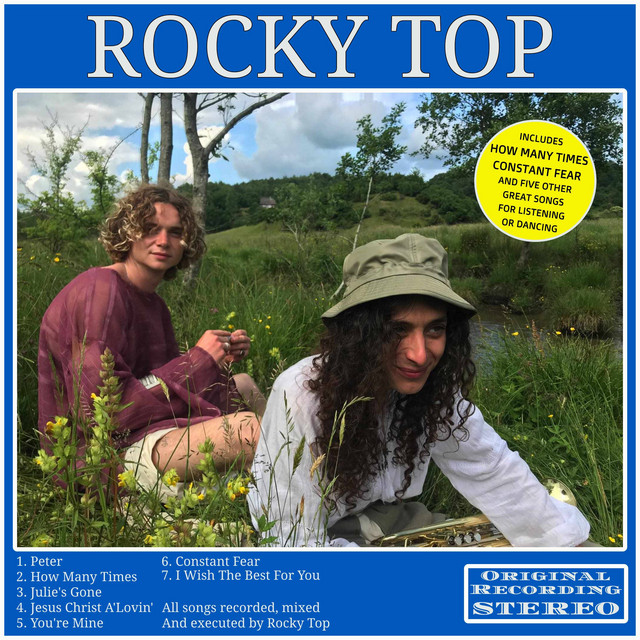 I Wish The Best For You cover art