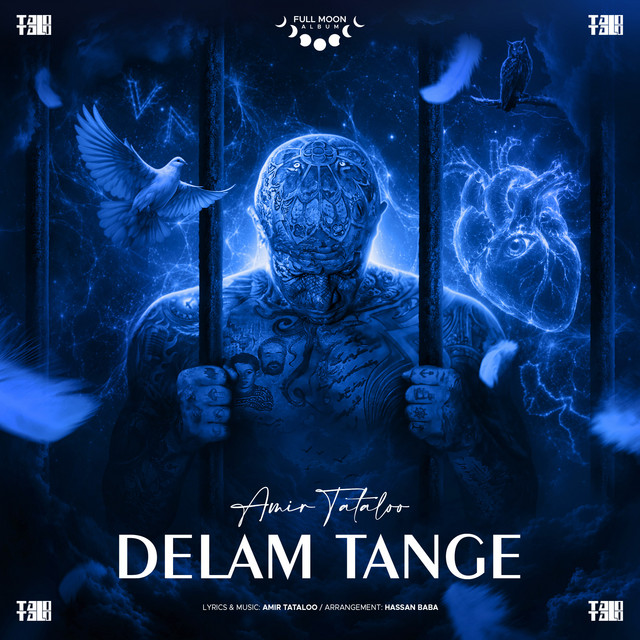 کاور آهنگ Delam Tange