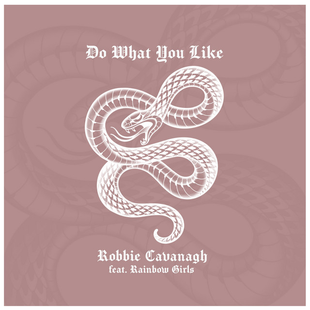 Do What You Like cover