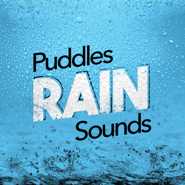 Puddles: Rain Sounds cover art