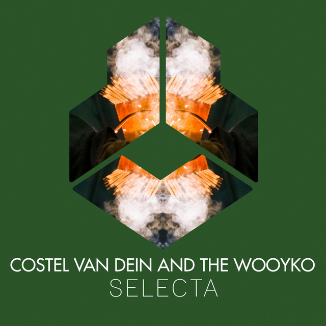 Обкладинка: Selecta — Costel Van Dein