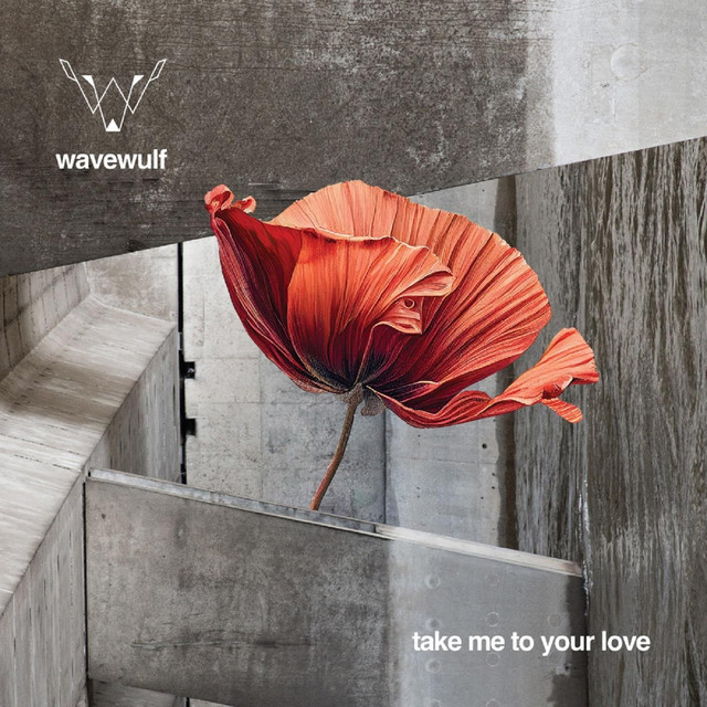 Take Me to Your Love