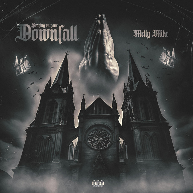 Downfall - song by Melly Mike | Spotify