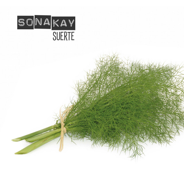 Suerte cover art