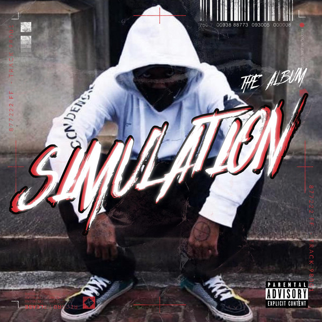 The Simulation cover art