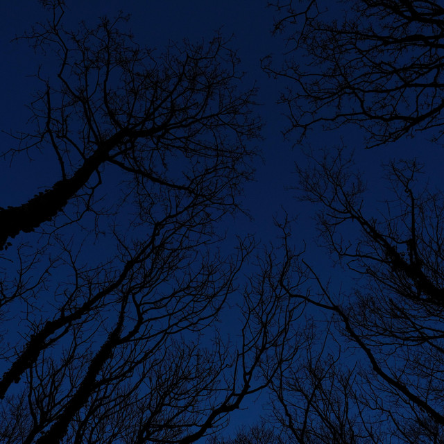 Diese Nacht