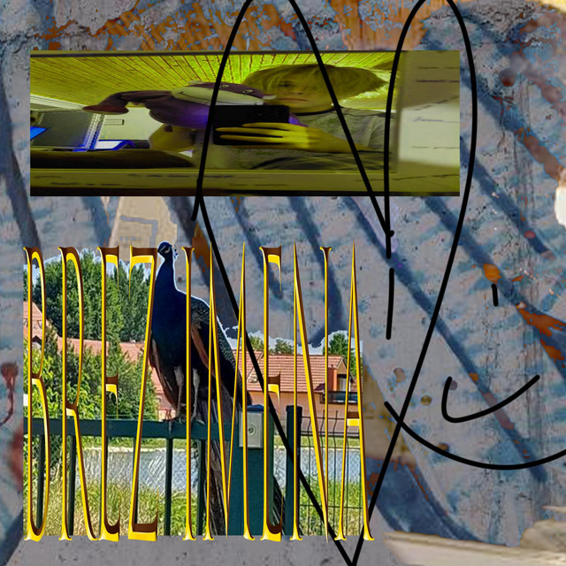 brez imena cover art
