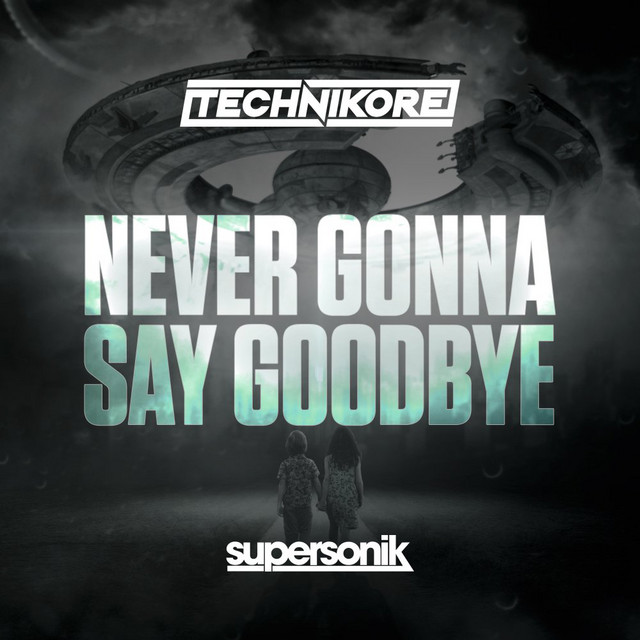 Never Gonna Say Goodbye - Extended Mix album art