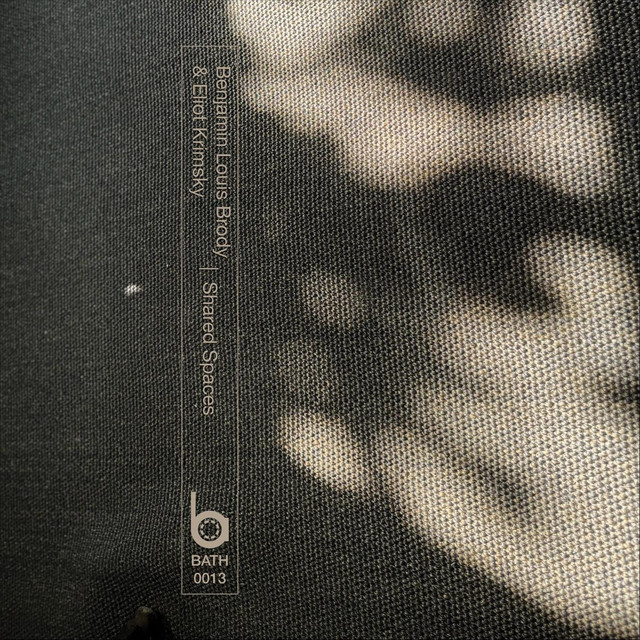 Shared Spaces cover art