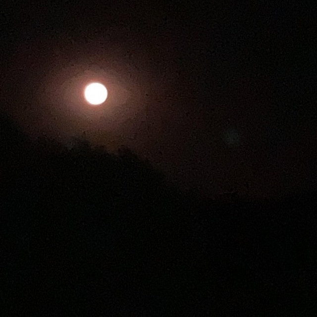 From a Distance cover art