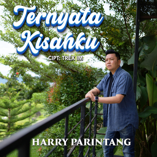 Harry Parintang - Ternyata Kisahku album image