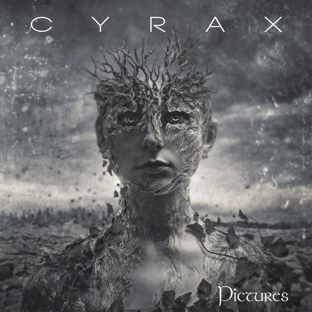 Pictures cover art