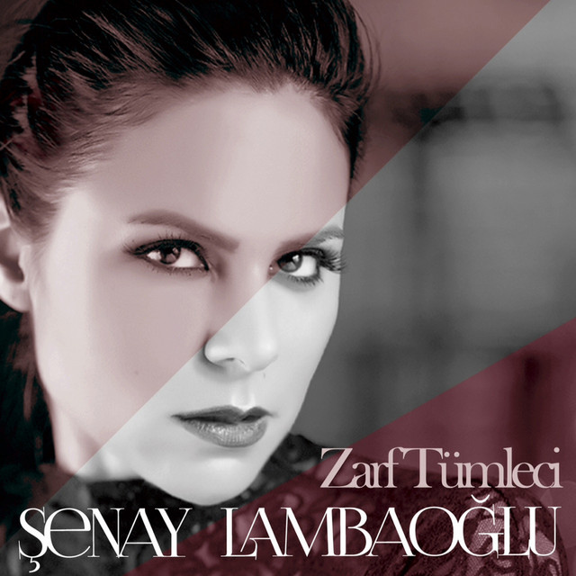 Zarf Tümleci cover art