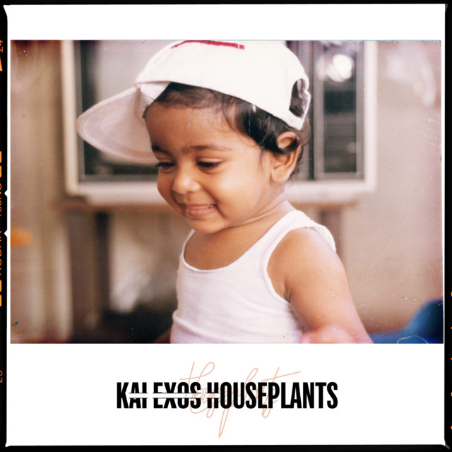 HOUSEPLANTS cover art