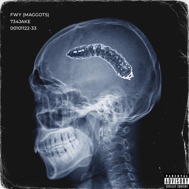 FWY (Maggots) cover art