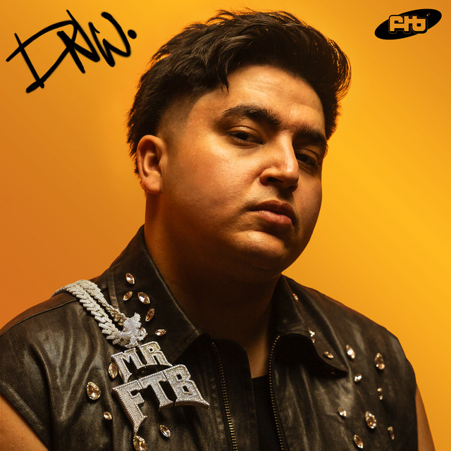DNW (Desi New Wave) cover art