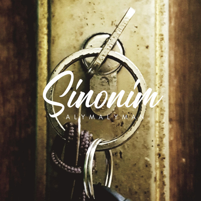 Sinonim cover art