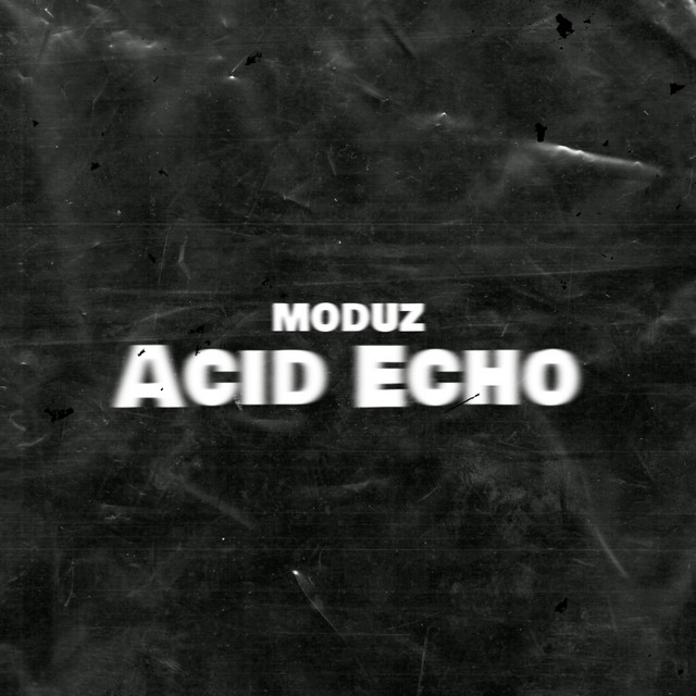 Acid Echo cover art