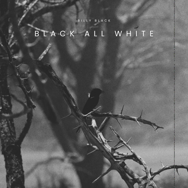 BLACK ALL WHITE cover art