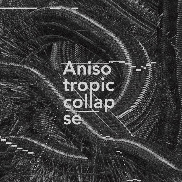Anisotropic Collapse cover art