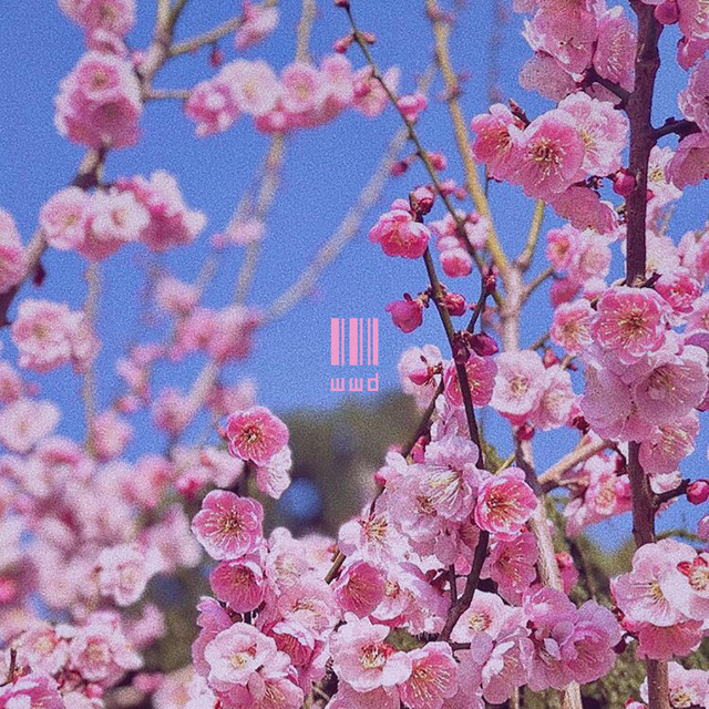 Whatever We Do cover art