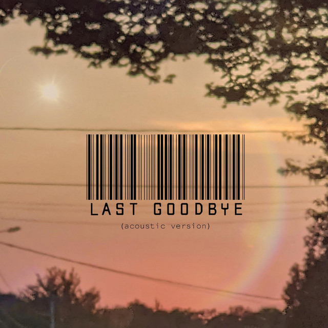 Last Goodbye (Acoustic) - Single by Late Sorrow | Spotify