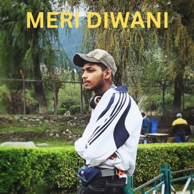 MERI DIWANI cover art