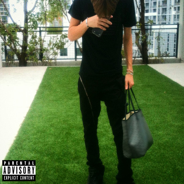 GoyardBag cover art