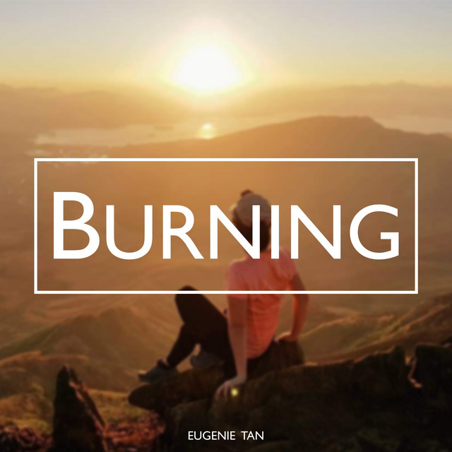 Burning cover art