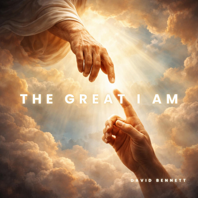 The Am I CD Great AGRACEFUL 廃盤