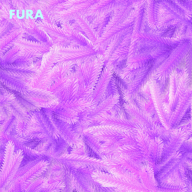 Fura cover art