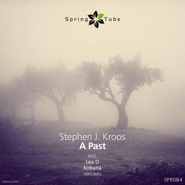A Past - Kobana 'Acid' Dub album art