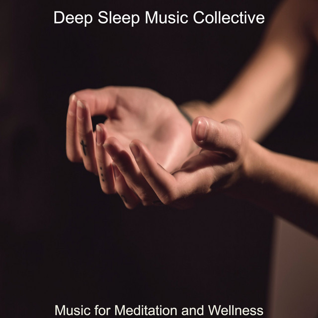 Music for Meditation and Wellness - Album by Deep Sleep Music ...