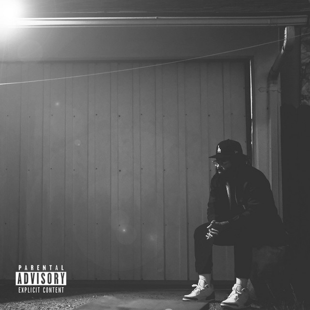 P.T.S.D (Pushing Through Shit Daily) cover art